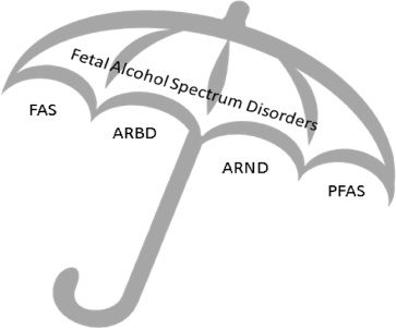 fasd-umbrella