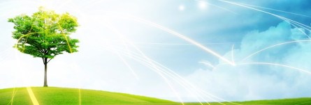 Tree-of-Life-Website-Banner-