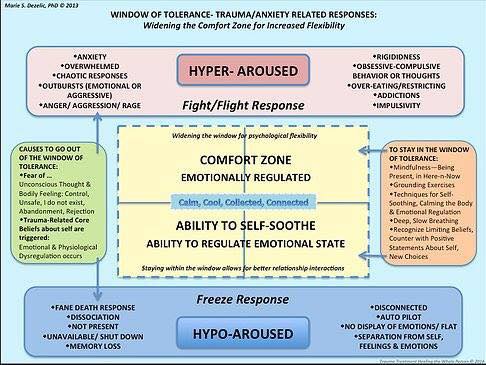 14670671_717883678362487_8501591878225660478_n